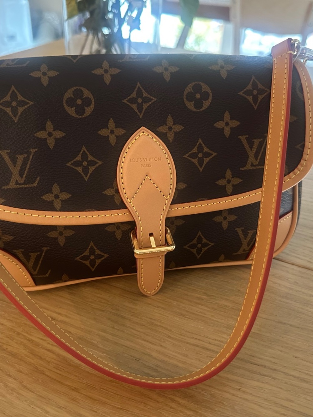 Louis Vuitton | Classic Diane Handbag - Picture 3 of 6